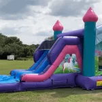 The premier source for bounce house rentals